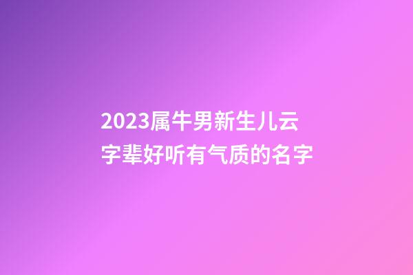 2023属牛男新生儿云字辈好听有气质的名字