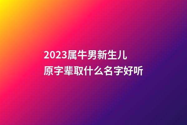 2023属牛男新生儿原字辈取什么名字好听
