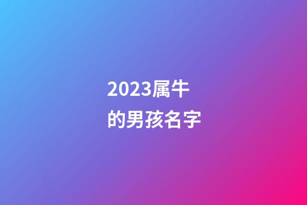 2023属牛的男孩名字