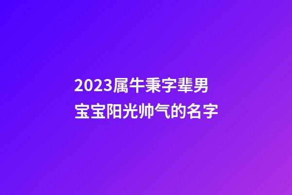 2023属牛秉字辈男宝宝阳光帅气的名字