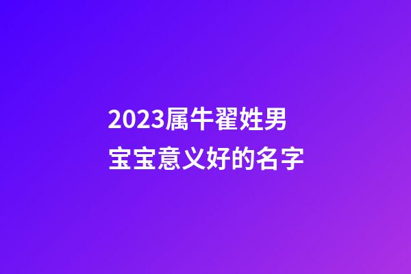 2023属牛翟姓男宝宝意义好的名字