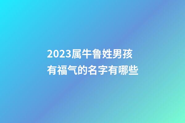 2023属牛鲁姓男孩有福气的名字有哪些