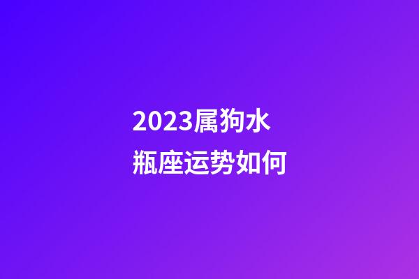 2023属狗水瓶座运势如何-第1张-星座运势-玄机派