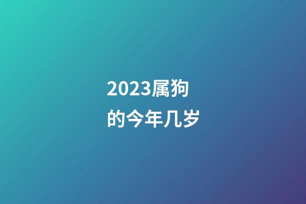 2023属狗的今年几岁