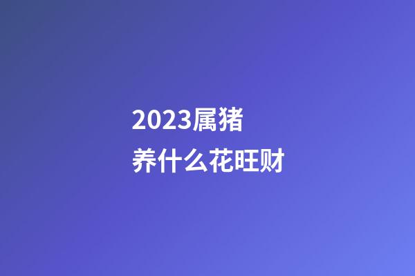 2023属猪养什么花旺财