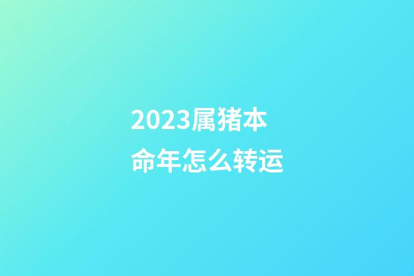 2023属猪本命年怎么转运?