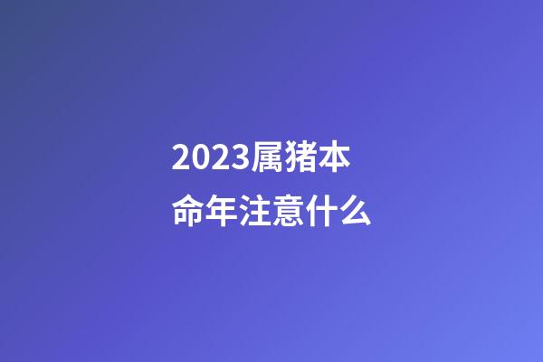 2023属猪本命年注意什么