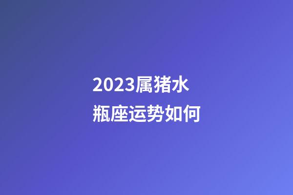 2023属猪水瓶座运势如何-第1张-星座运势-玄机派