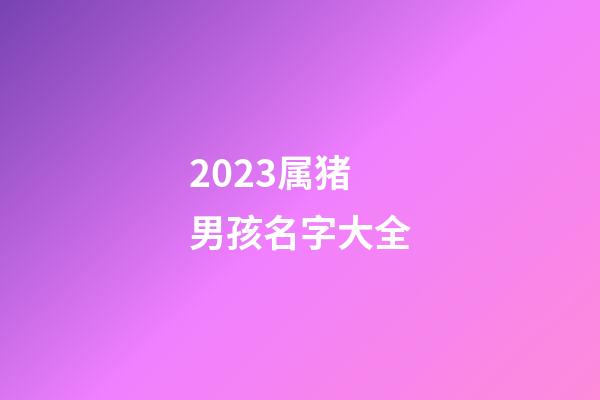 2023属猪男孩名字大全