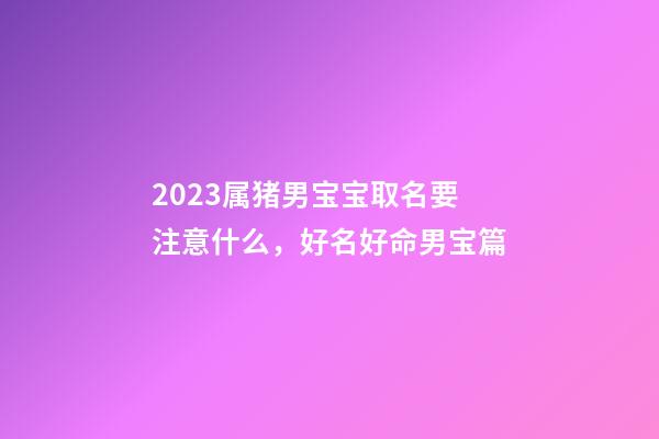 2023属猪男宝宝取名要注意什么，好名好命男宝篇