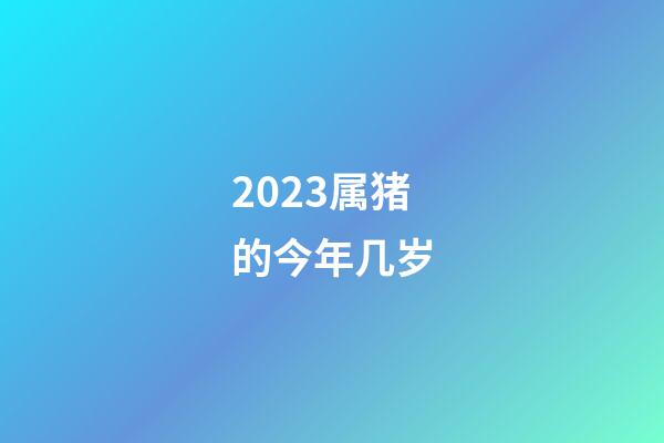 2023属猪的今年几岁