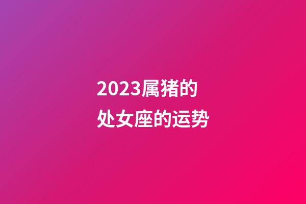 2023属猪的处女座的运势-第1张-星座运势-玄机派