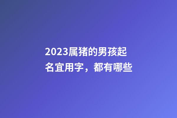 2023属猪的男孩起名宜用字，都有哪些