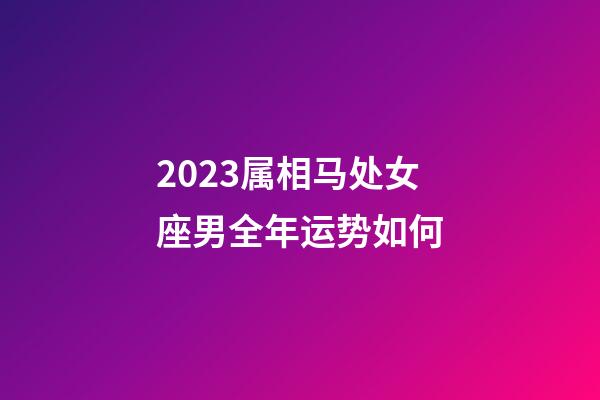 2023属相马处女座男全年运势如何-第1张-星座运势-玄机派