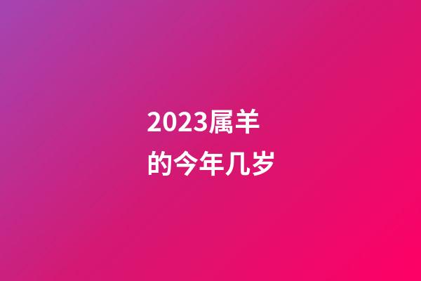 2023属羊的今年几岁