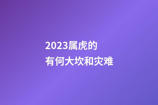 2023属虎的有何大坎和灾难