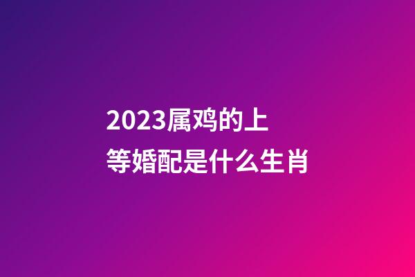2023属鸡的上等婚配是什么生肖