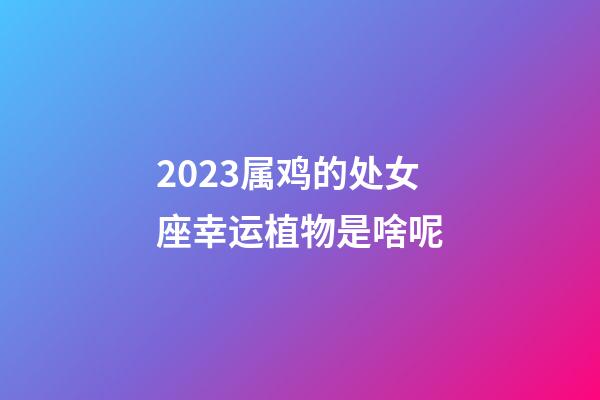 2023属鸡的处女座幸运植物是啥呢-第1张-星座运势-玄机派