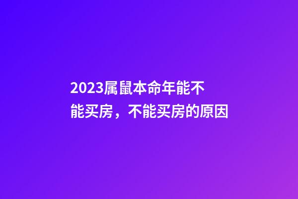2023属鼠本命年能不能买房，不能买房的原因