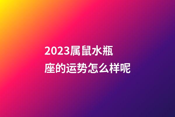 2023属鼠水瓶座的运势怎么样呢-第1张-星座运势-玄机派