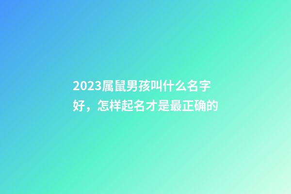 2023属鼠男孩叫什么名字好，怎样起名才是最正确的