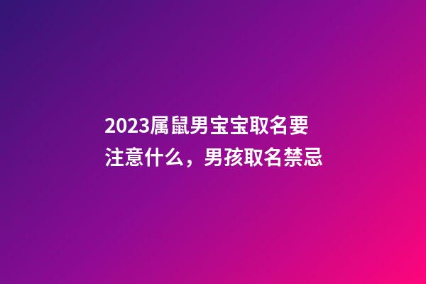 2023属鼠男宝宝取名要注意什么，男孩取名禁忌