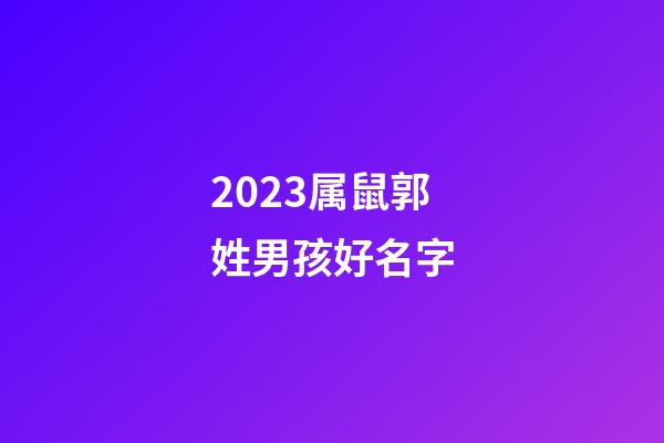 2023属鼠郭姓男孩好名字