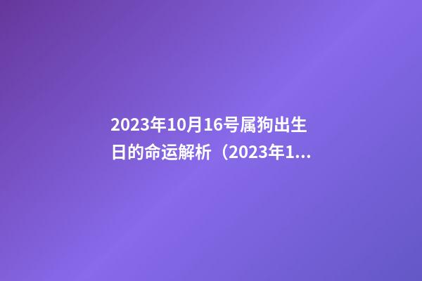 2023年10月16号属狗出生日的命运解析（2023年10月16日出生是什么命）
