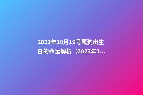 2023年10月19号属狗出生日的命运解析（2023年10月19号属狗出生日的命运解析图）