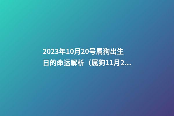 2023年10月20号属狗出生日的命运解析（属狗11月20日出生什么命）