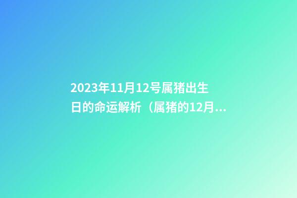 2023年11月12号属猪出生日的命运解析（属猪的12月出生的命运）