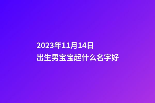 2023年11月14日出生男宝宝起什么名字好