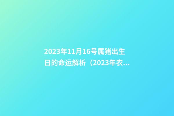 2023年11月16号属猪出生日的命运解析（2023年农历11月16日出生是什么命）