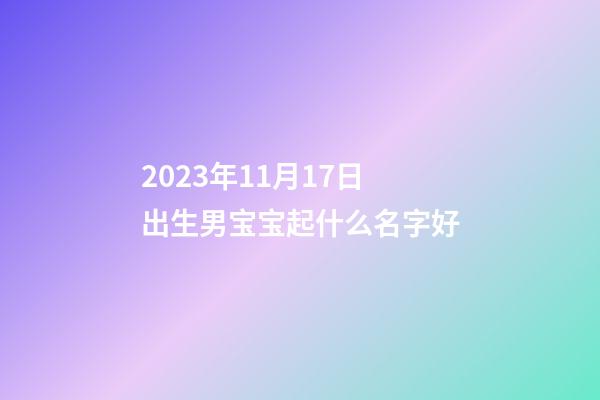 2023年11月17日出生男宝宝起什么名字好