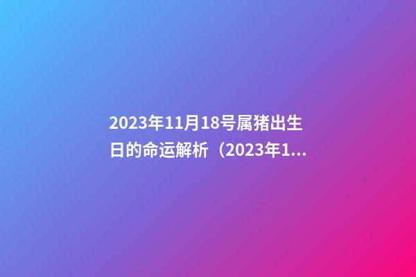 2023年11月18号属猪出生日的命运解析（2023年11月18号属猪出生日的命运解析吉凶）