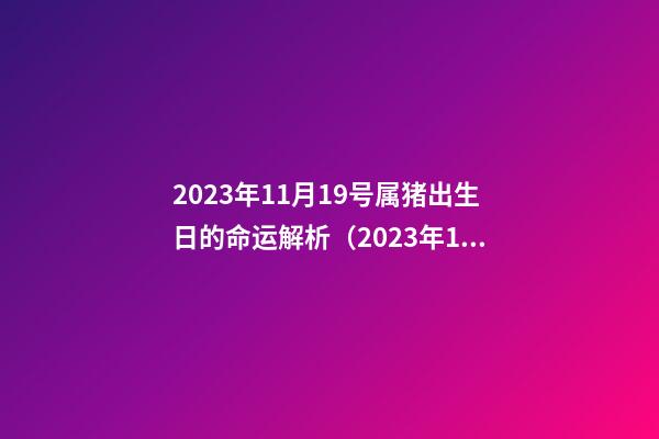 2023年11月19号属猪出生日的命运解析（2023年11月19号属猪出生日的命运解析图）
