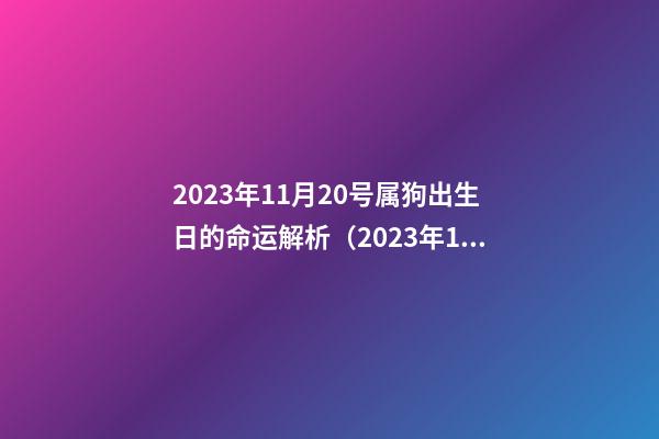 2023年11月20号属狗出生日的命运解析（2023年11月20号属狗出生日的命运解析图）