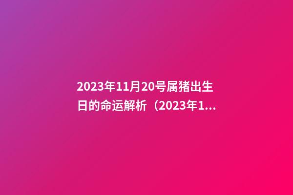 2023年11月20号属猪出生日的命运解析（2023年11月20号属猪出生日的命运解析图）