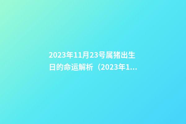 2023年11月23号属猪出生日的命运解析（2023年11月23号属猪出生日的命运解析图）