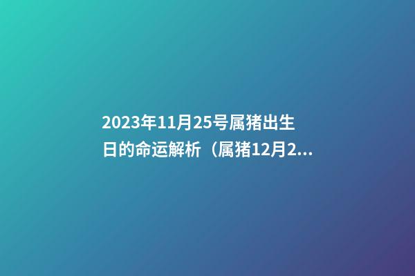 2023年11月25号属猪出生日的命运解析（属猪12月25日出生命运如何）