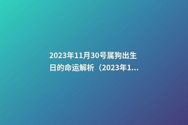 2023年11月30号属狗出生日的命运解析（2023年11月30日出生是什么命）