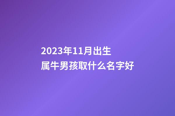 2023年11月出生属牛男孩取什么名字好