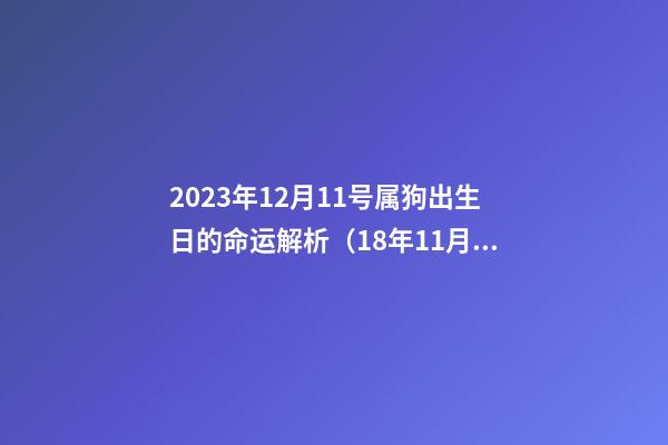 2023年12月11号属狗出生日的命运解析（18年11月12日出生的狗命理）
