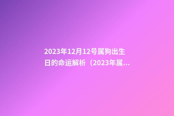 2023年12月12号属狗出生日的命运解析（2023年属狗12月12日是什么命）