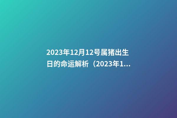 2023年12月12号属猪出生日的命运解析（2023年12月属猪是什么命）