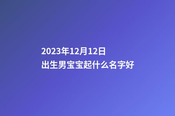 2023年12月12日出生男宝宝起什么名字好