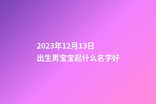 2023年12月13日出生男宝宝起什么名字好