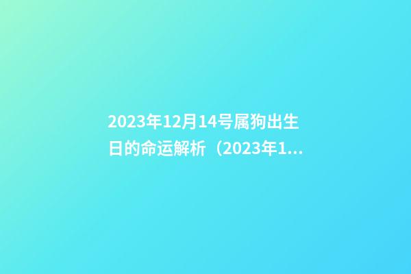2023年12月14号属狗出生日的命运解析（2023年12月14日出生的人命运）