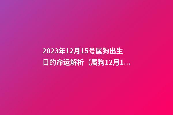 2023年12月15号属狗出生日的命运解析（属狗12月15日出生好不好）