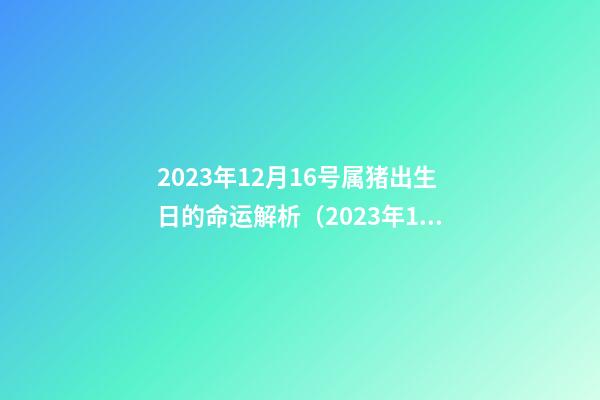 2023年12月16号属猪出生日的命运解析（2023年12月16日出生的人命运）